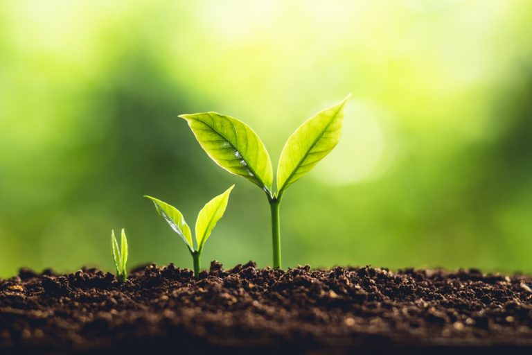 How Do Therapists Measure Mental Health Growth?